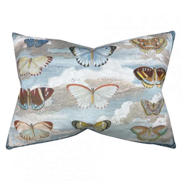 BUTTERFLY STUDIES / PARCHMENT  