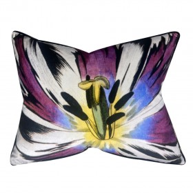 ECLOSION  / AGATE