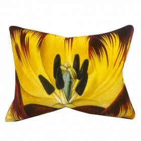 ECLOSION  / AGATE