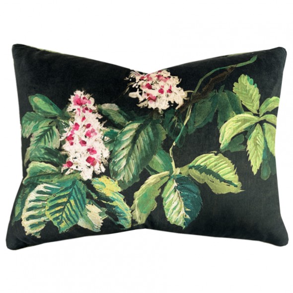 PASQUEFLOWER / OLIVE