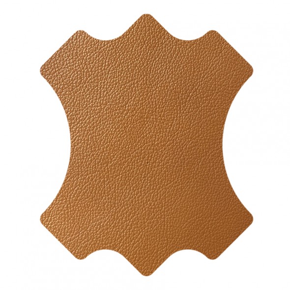 ETNO / CAMEL