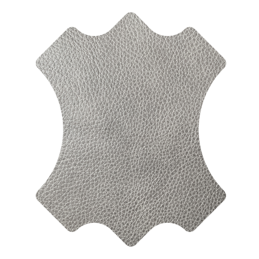 HOGAN FOSSIL