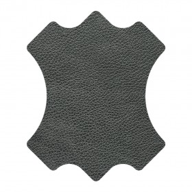 WESSEX / CARBON