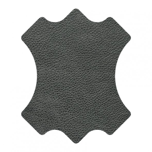 WESSEX / CARBON