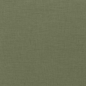 LISBON / OLIVE