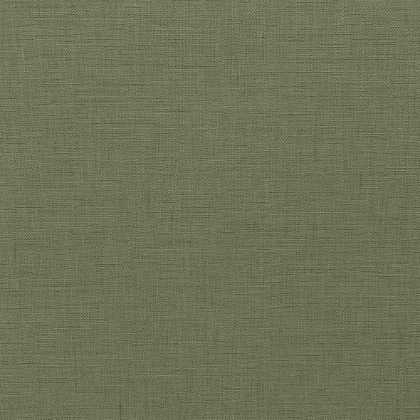 LISBON / OLIVE