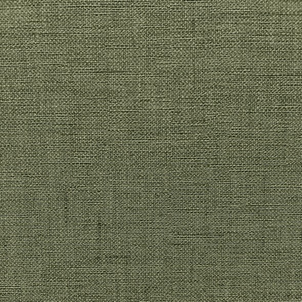 LISBON / OLIVE