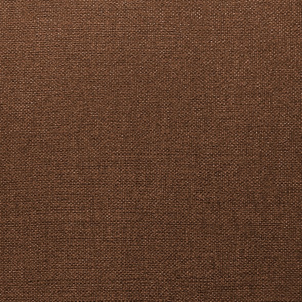 SAPIENT / COPPER
