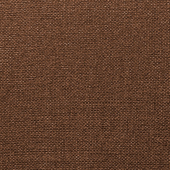 SAPIENT / COPPER