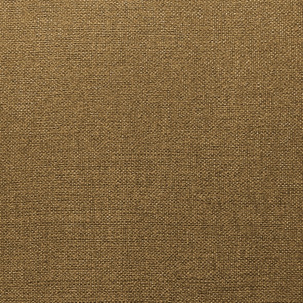 SAPIENT / MUSTARD