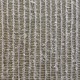 GINKGO / FEATHER