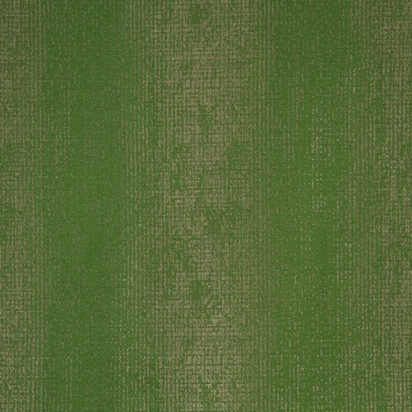 ARIA / 34 FOREST