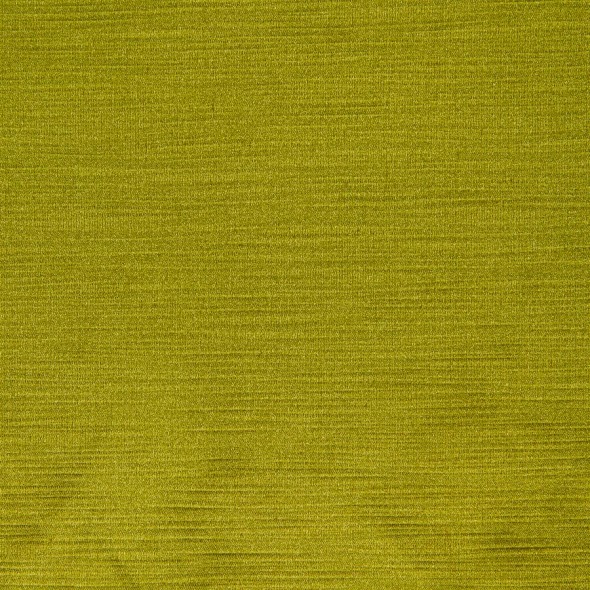 RAIDER / 46 CHARTREUSE
