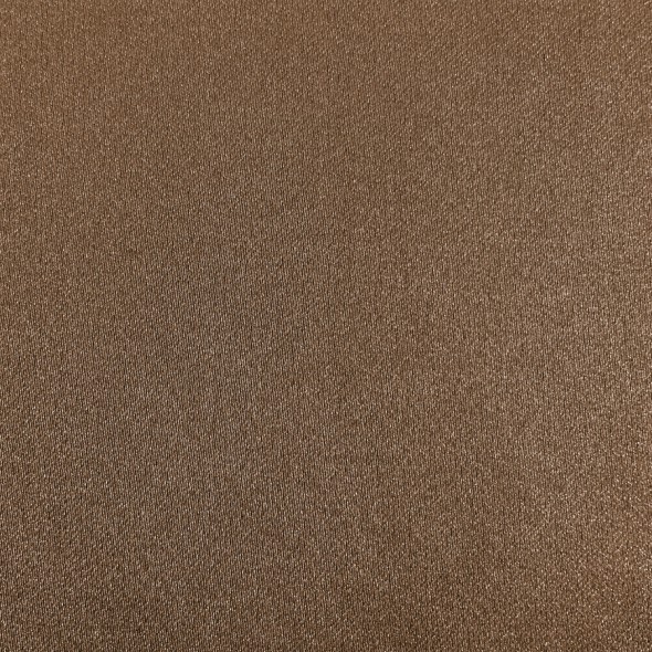 SOUTH FACE / 038 FOSSIL
