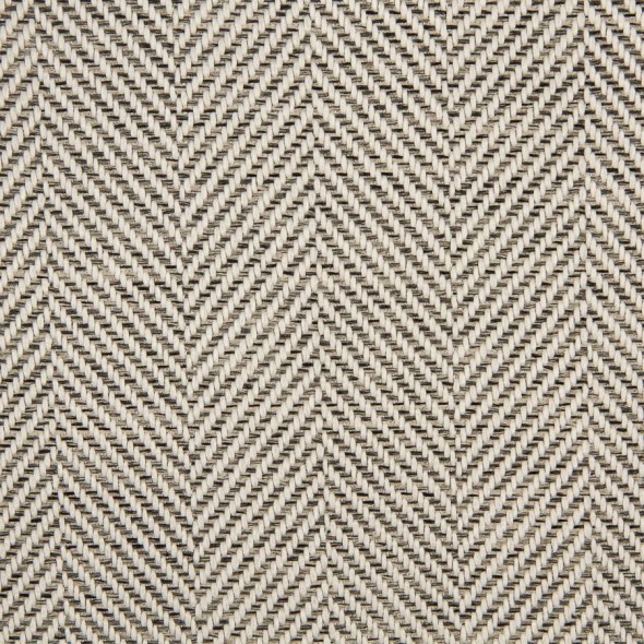 TRAILBLAZER / 35 CLOUD