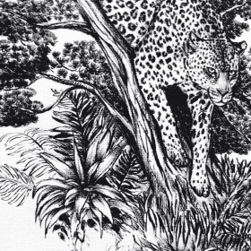 ANIMALIA / NOIR