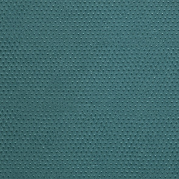 ARMADILLO / 63 TEAL