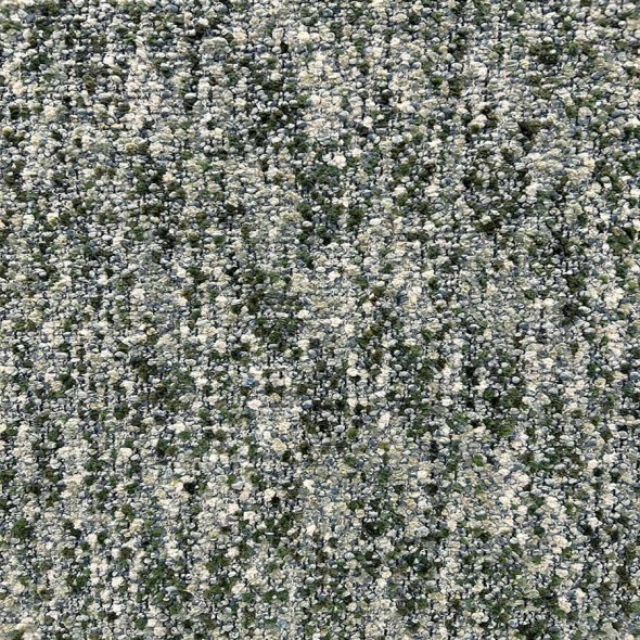 BACCARA / SAGE