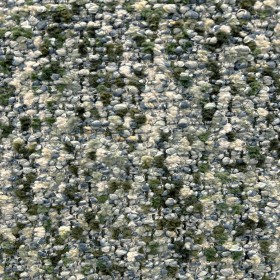 BACCARA / SAGE