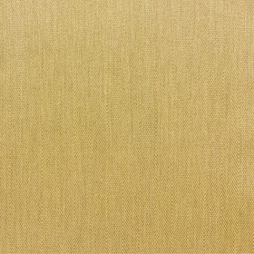ESQUIRE / MUSTARD