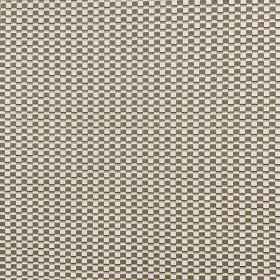 FOCUS / GREY