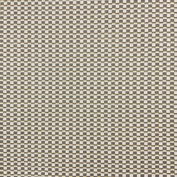 FOCUS / GREY