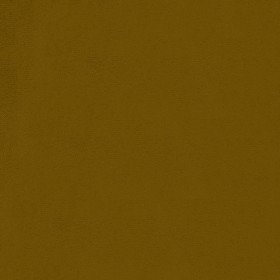 HOXTON / CHARTREUSE