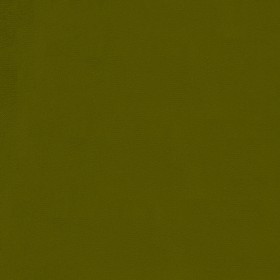 HOXTON / OLIVE