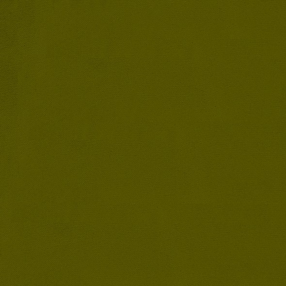 HOXTON / OLIVE