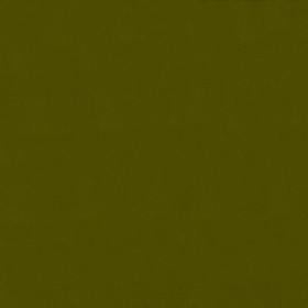 HOXTON / OLIVE