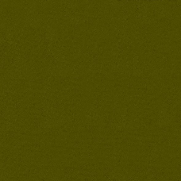 HOXTON / OLIVE