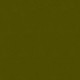 HOXTON / OLIVE