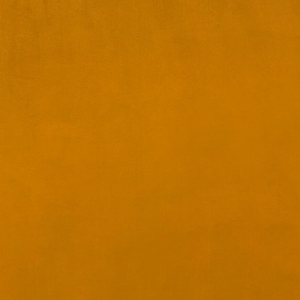 KISSME / MUSTARD