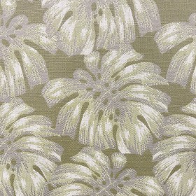 PALM / BASIL