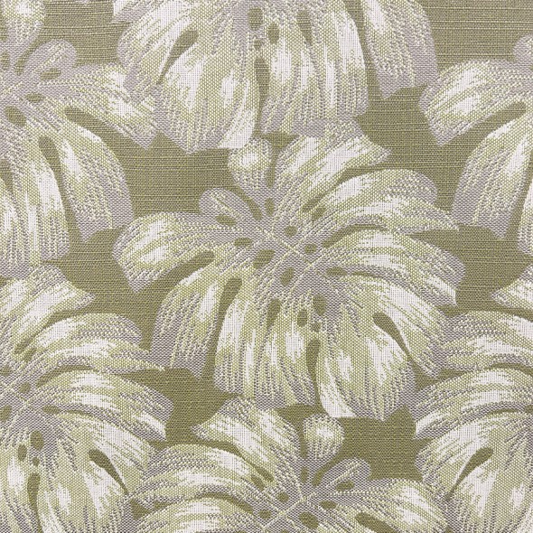PALM / BASIL