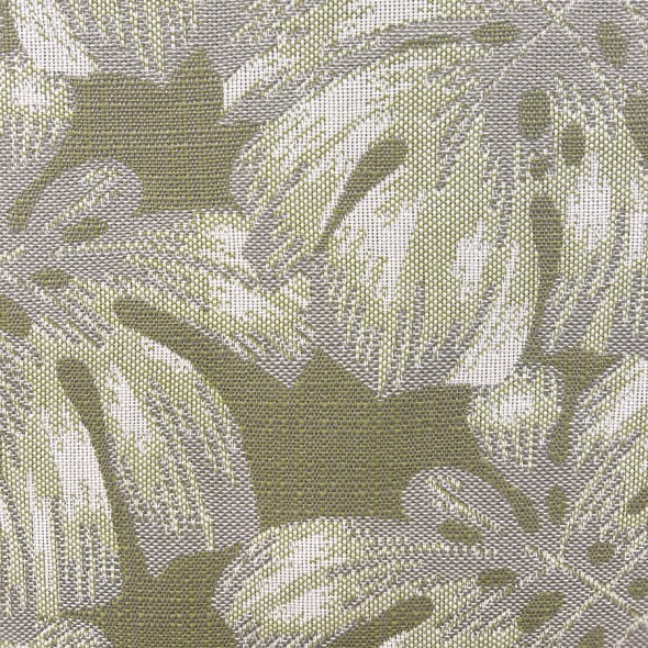 PALM / BASIL