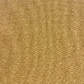 SIT OUT / 25 CITRINE 