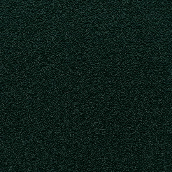 SNOWDOWN / 34 HUNTER