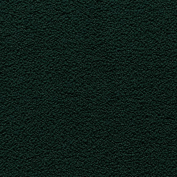 SNOWDOWN / 34 HUNTER