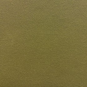 SOLID / OLIVE