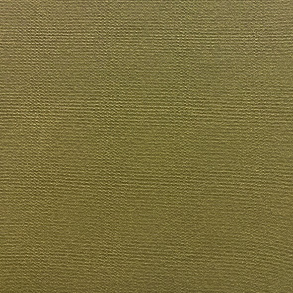 SOLID / OLIVE