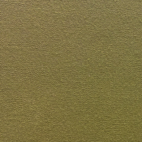 SOLID / OLIVE