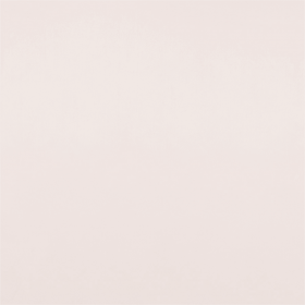 SOUTH FACE / 024 BIRCH