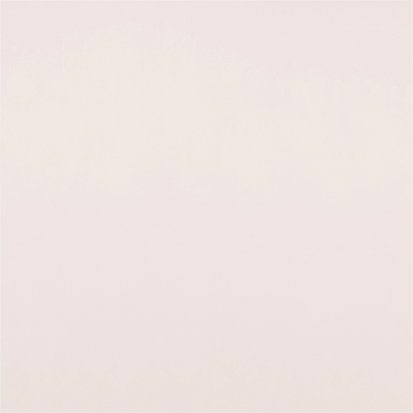 SOUTH FACE / 024 BIRCH