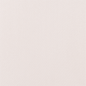 SOUTH FACE / 024 BIRCH