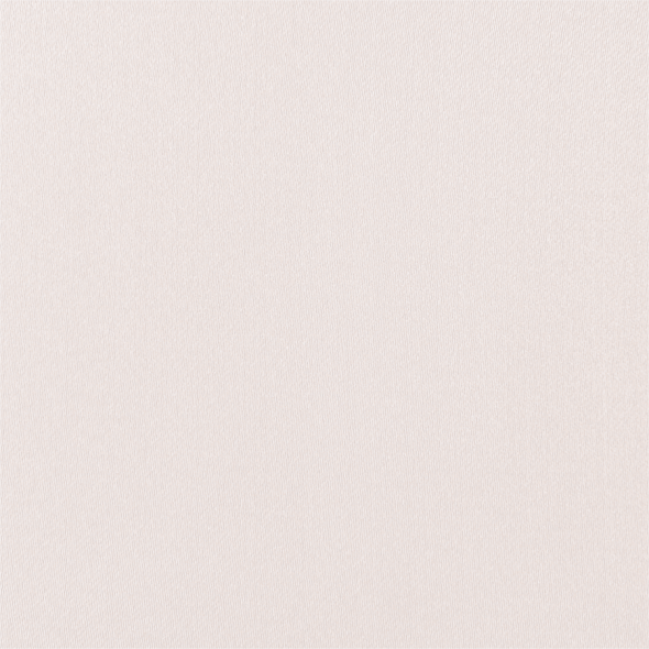 SOUTH FACE / 024 BIRCH