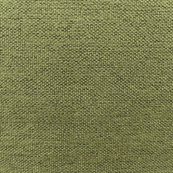 WILDERNESS / 25 MOSS