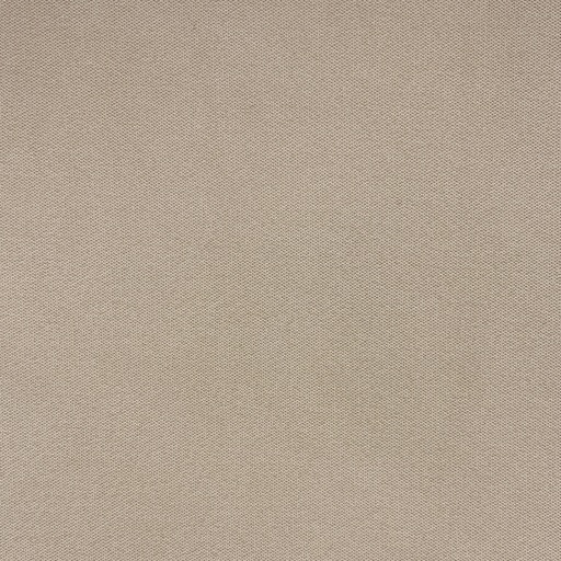 TELA PALLADIO (CAMEL)