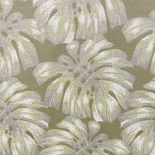 TELA PALM (BASIL)