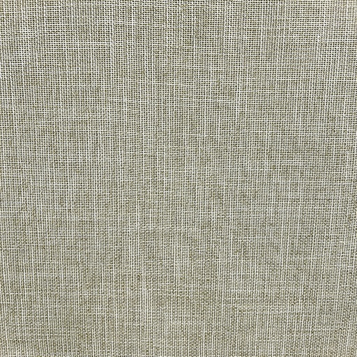 TELA IVY (PAPYRUS)